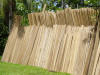 Cordia alliodora (laurel) tropical hardwood stacked to dry in Costa Rica